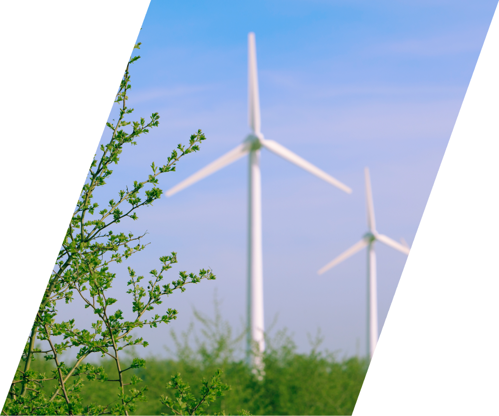 CarbonPlan