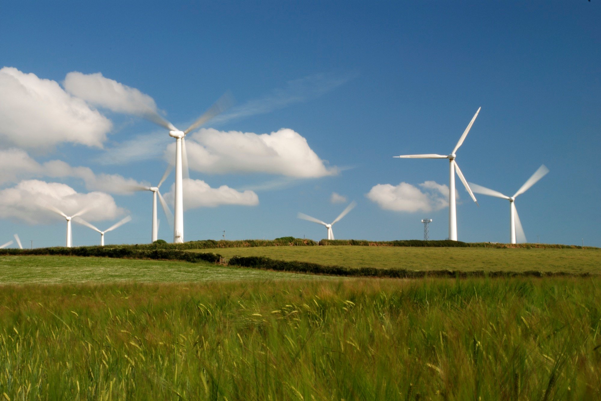 Windmills + fields