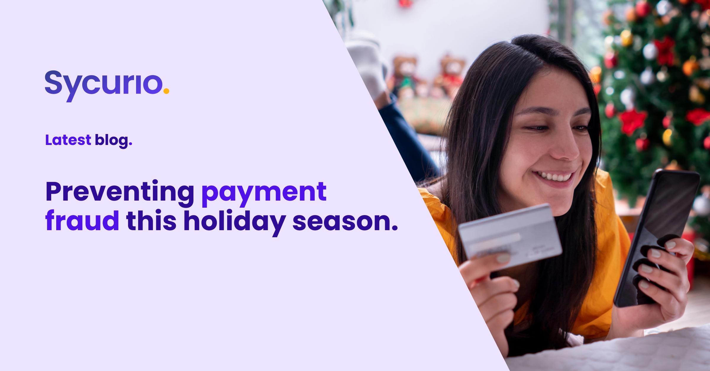 blog - Payment Fraud - Holiday Season